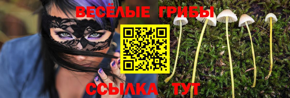 Галлюциногенные грибы прущие грибы  купить наркоту  Псилоцибиновые грибы прущие грибы  Пугачёв  Вход с VPN 